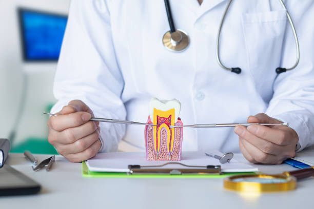 Best Emergency Dentist for Knocked-Out Tooth in Selden, NY